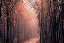 网购商品理赔将有行业标准可循