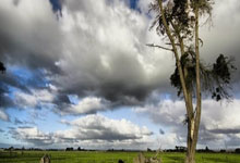 角膜移植，哪层坏了换哪层