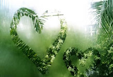 亚洲最大海水冷却塔 在三门落成