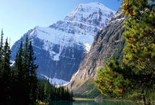 浙江龙盛：抢占染料行业全球制高点